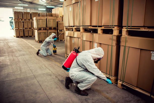 Best Pest Inspection Near Me  in New Baden, IL