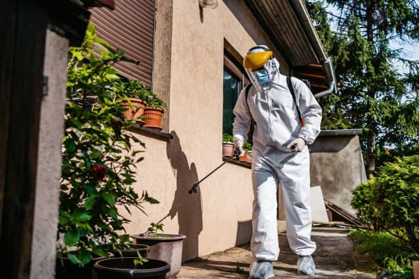 Best Residential Pest Control  in New Baden, IL