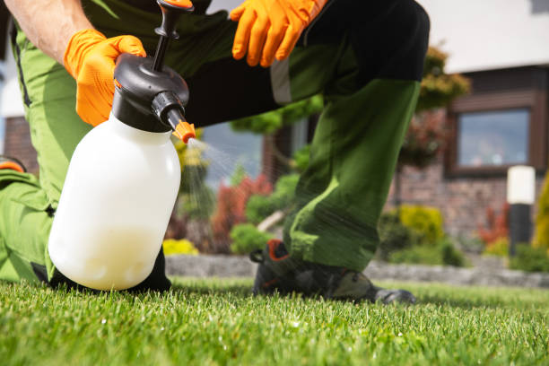 Best Rat Extermination Near Me  in New Baden, IL