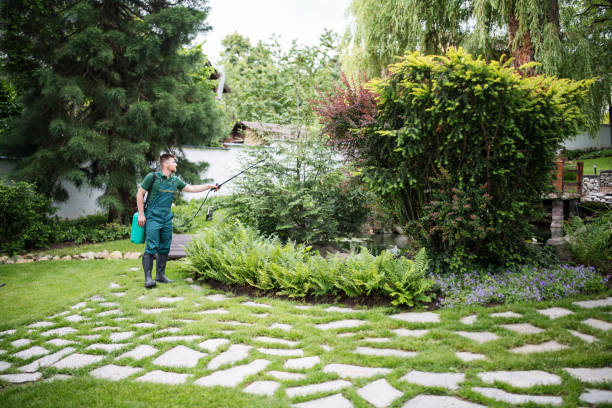 Wasp Removal Services in New Baden, IL