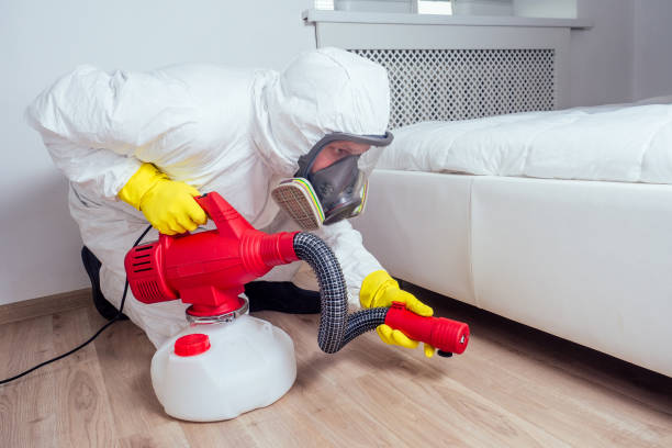 Best Local Pest Control Services  in New Baden, IL