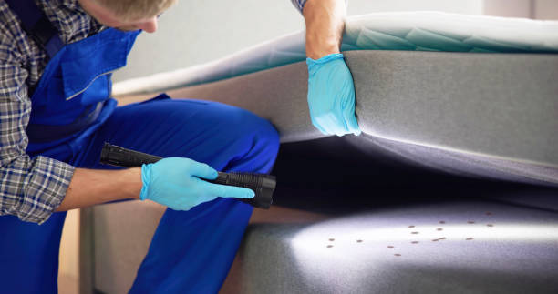 Best Rat Extermination Near Me  in New Baden, IL