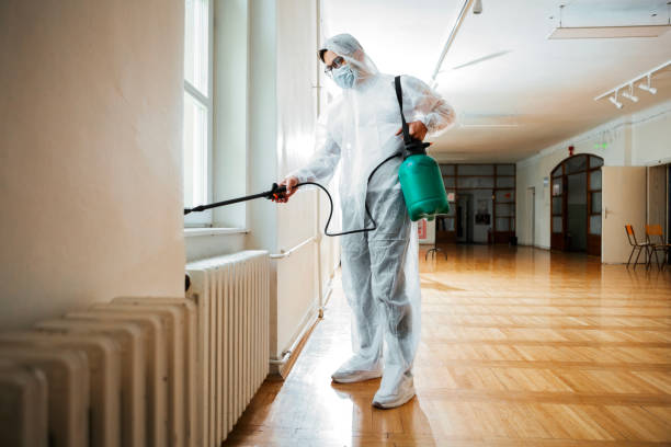 Best Affordable Pest Control Services  in New Baden, IL