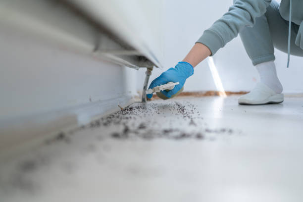  New Baden, IL Pest Control Pros