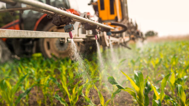 Best Mosquito Control Services  in New Baden, IL